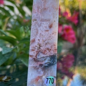 Agate plume Tour 770