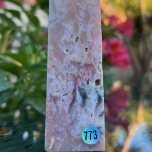 Agate plume Tour 773