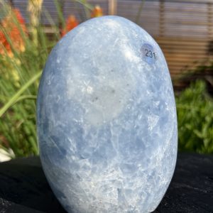 Calcite Bleue Forme libre 231