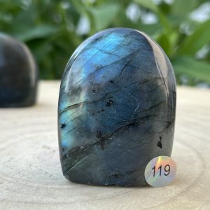 Labradorite Forme Libre 119