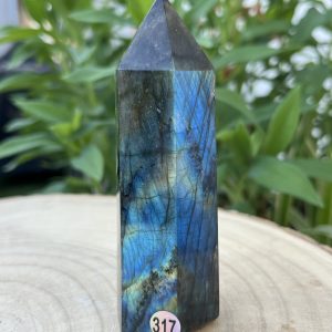 Labradorite Pointe 317