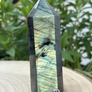 Labradorite Pointe 319