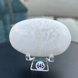 Scolécite galet 645