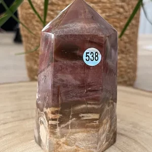 Bois Fossilisé Pointe 538