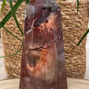 Bois Fossilisé Pointe 539