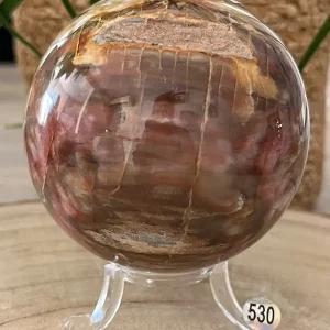 Bois Fossilisé Sphère 530