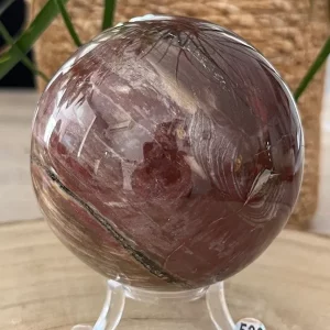 Bois Fossilisé Sphère 532