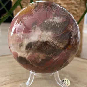 Bois Fossilisé Sphère 535