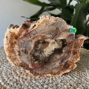 Bois Fossilisé Tranche N.356