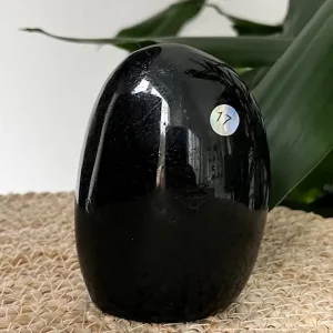 Tourmaline Noire - Forme libre 17