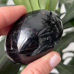 Tourmaline Noire Galet