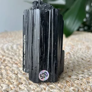 Tourmaline Noire Brute N.520