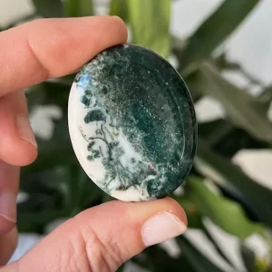 Pierre Anti-stress : Worry Stone : AGATE MOUSSE