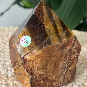 Oeil de Tigre Pointe Mi-Brute / Mi-Polie N.316